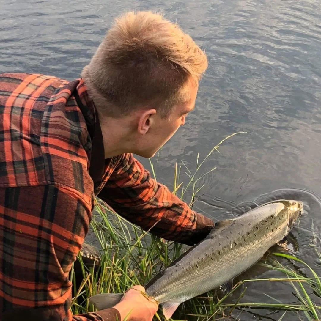 Christoffer Thorsager genudsætter en stor fisk i åen
