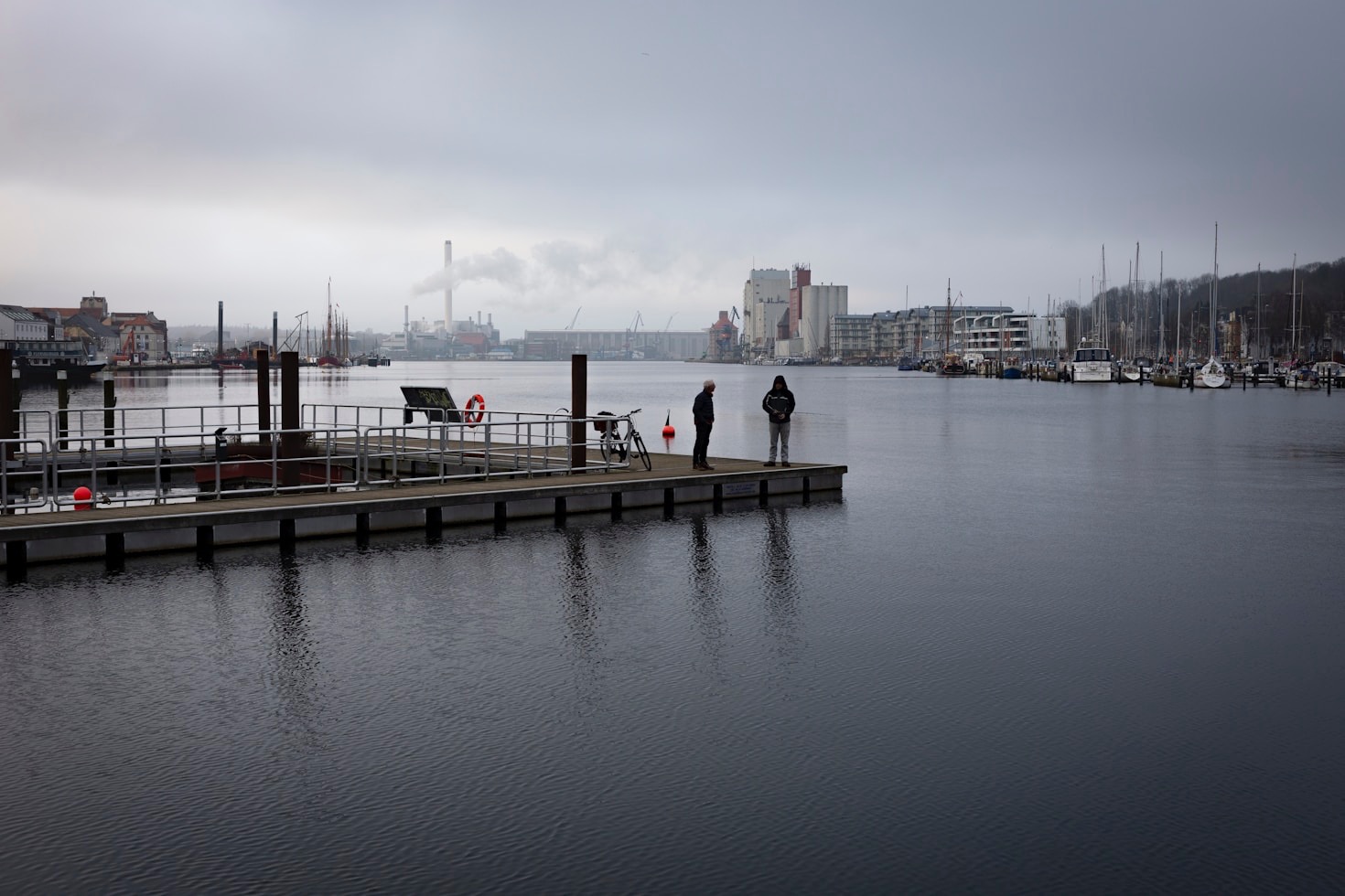 De 5 bedste fiskestænger til nybegyndere